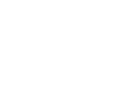 Workforce capability White